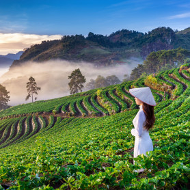 Bảo hiểm du lịch cá nhân